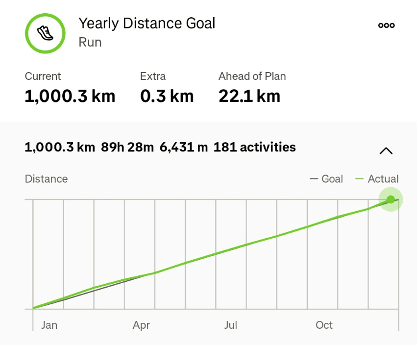 Screenshot from the Strava app showing 1,000.3km of running during 181 activities. 89h 28m of running, with elevation of 6,431m. 