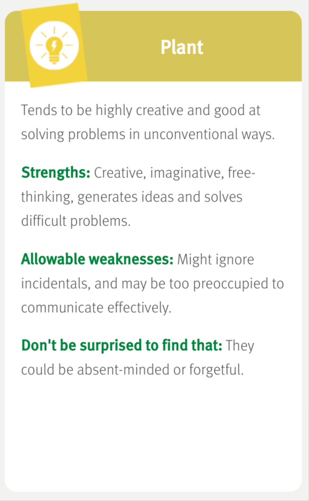 Belbin Team Roles: Plant description with strengths, allowable weaknesses, and concluding note.