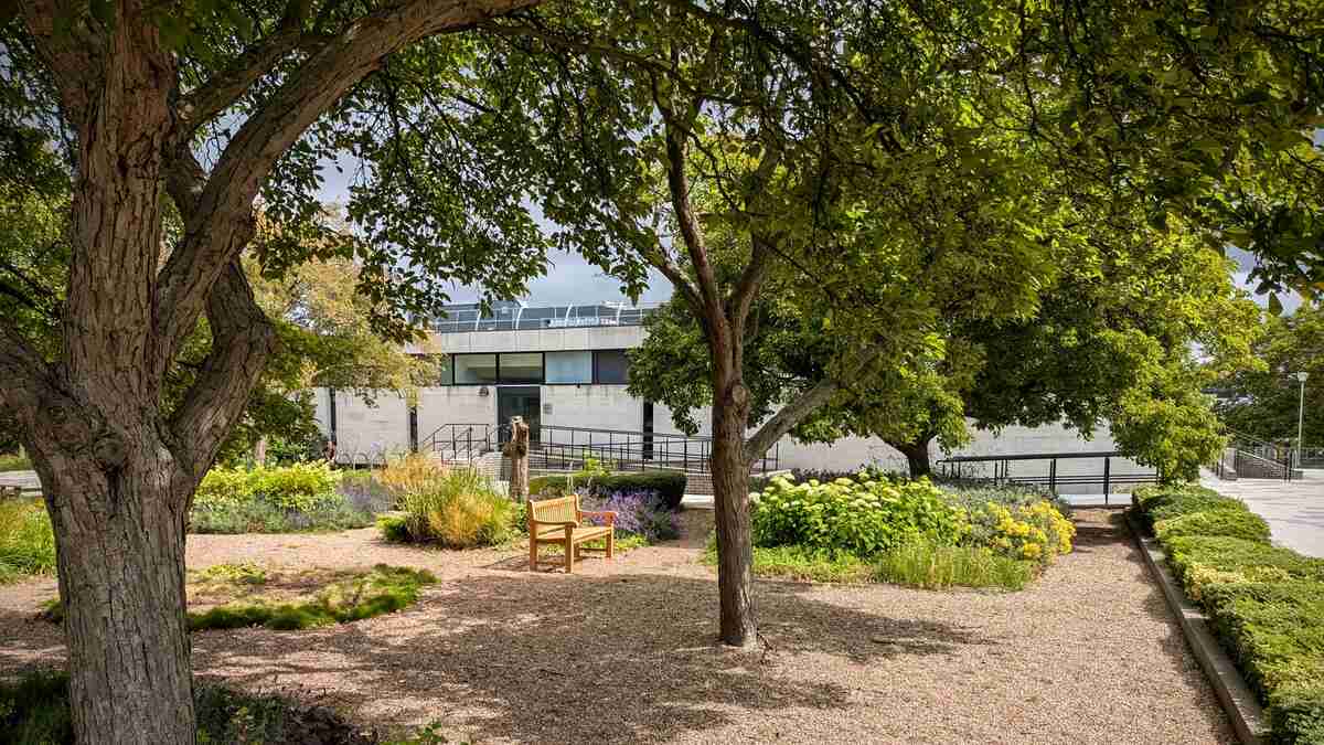 A shaded garden with a wooden bench surrounded by plants, and a modern building in the background.