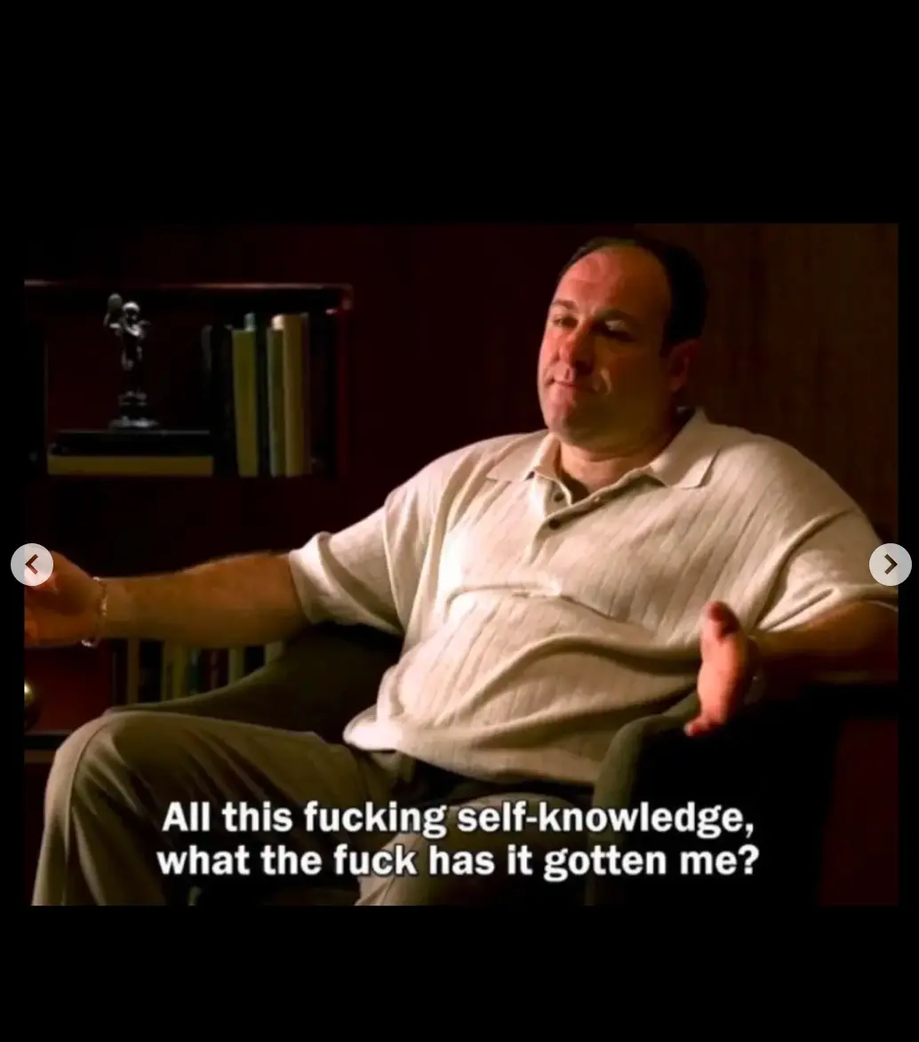 Tony Soprano sitting in a chair with his arms outstretched. The caption reads: "All this fucking self-knowledge, what the fuck has it gotten me?"