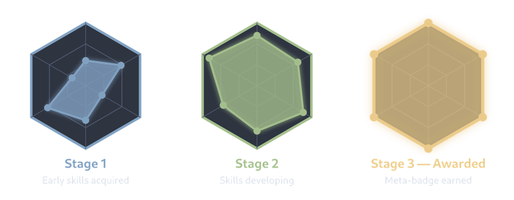 Three stages of a hexagonal badges showing skills progressio