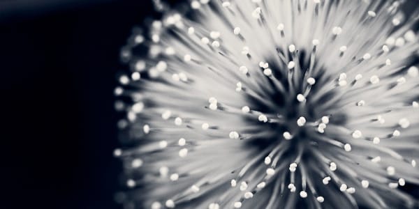 MOOCs, online education and the rights of learners.