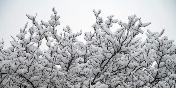 Some (brief) thoughts about online peer assessment.