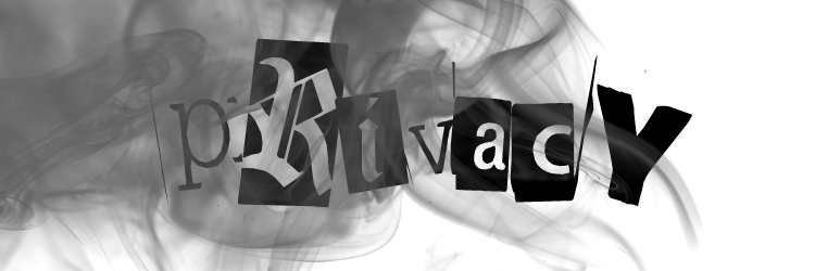 Reality check: in light of the NSA revelations, just who do we need to fear?