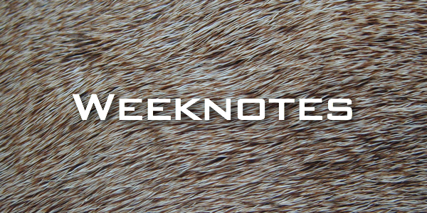 Weeknote 28/2013