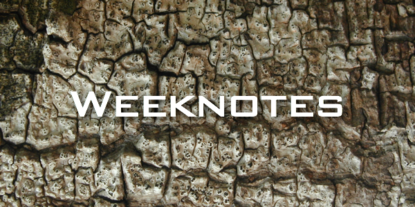 Weeknote 34/2013