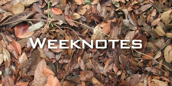 Weeknote 39/2013