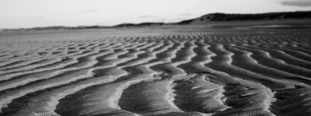 Snake-like ridges at Druridge Bay, Northumberland