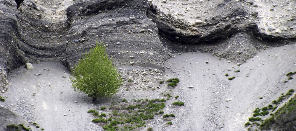 Sedimentary Structure