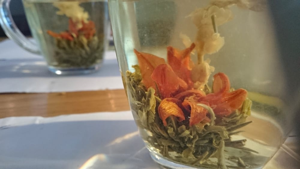 Hey, I'm back! (with some thoughts on Twitter and an update on my newsletter)