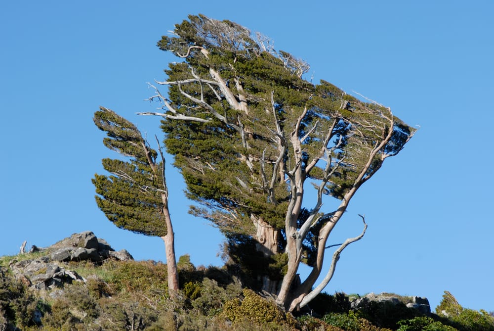 My blog was without an ‘LMS isn't dead’ post, so I thought I’d write one.