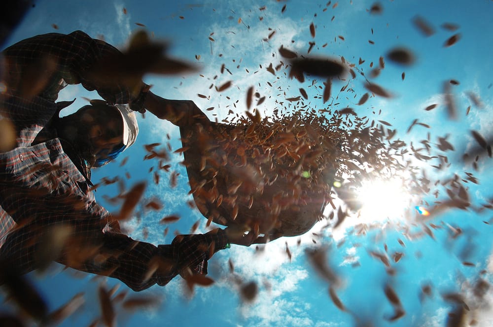 Winnowing the MoodleNet project down to MVP size