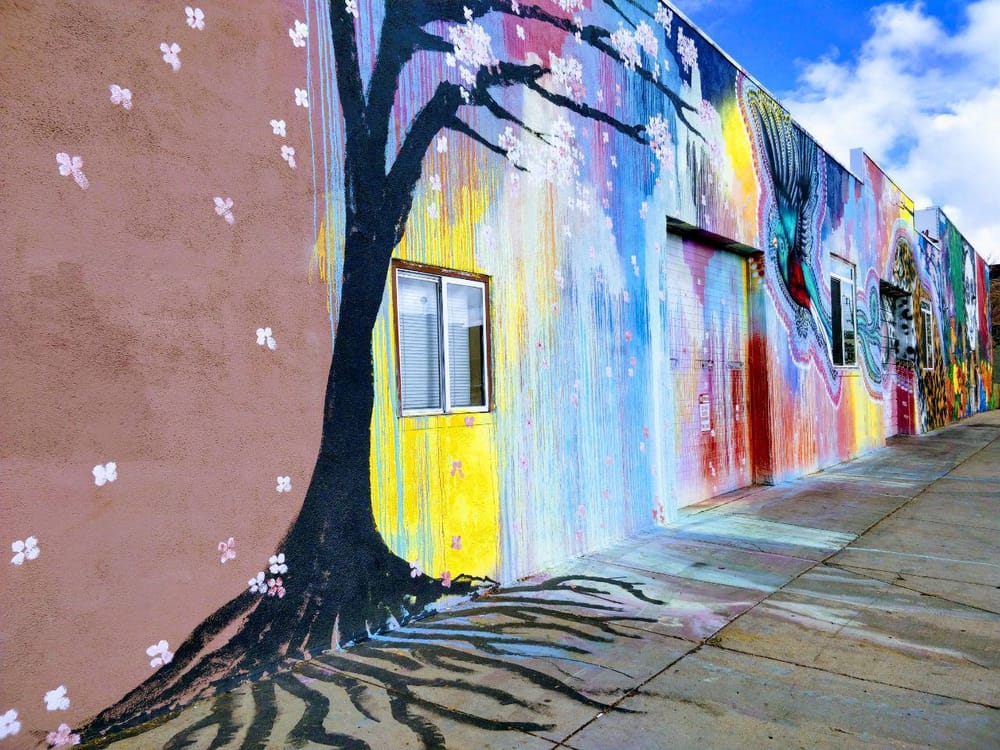 Denver street art