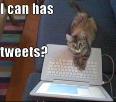 lolcat_tweets
