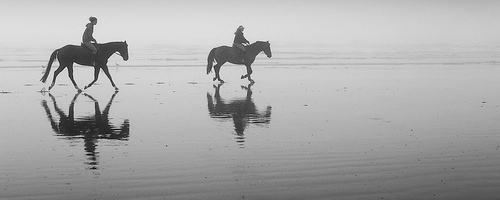 Two equestrian riders, girls on horseback, in low tide reflections. Serene Two equestrian riders, girls on horseback, in low tide reflections. Serene