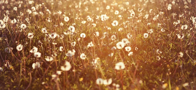 The landscape is changing