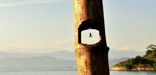 Patience is a Virtue