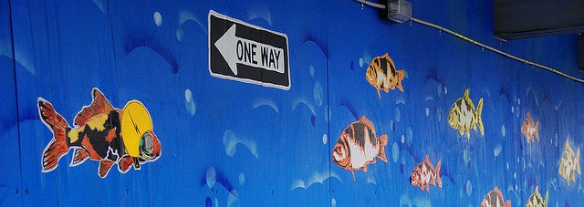 Swimming against the tide Swimming against the tide