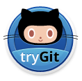 Try Git