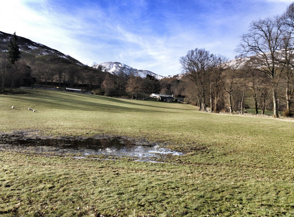 Start of route up Ben Vorlich