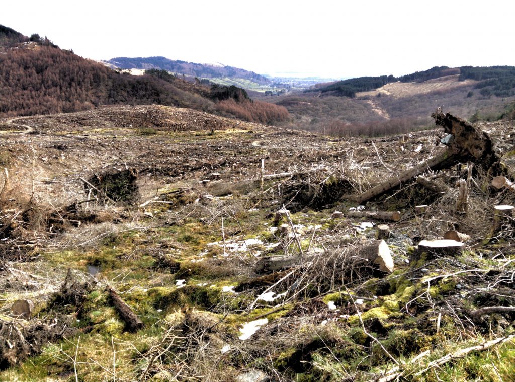 Deforestation on Ben Ledi