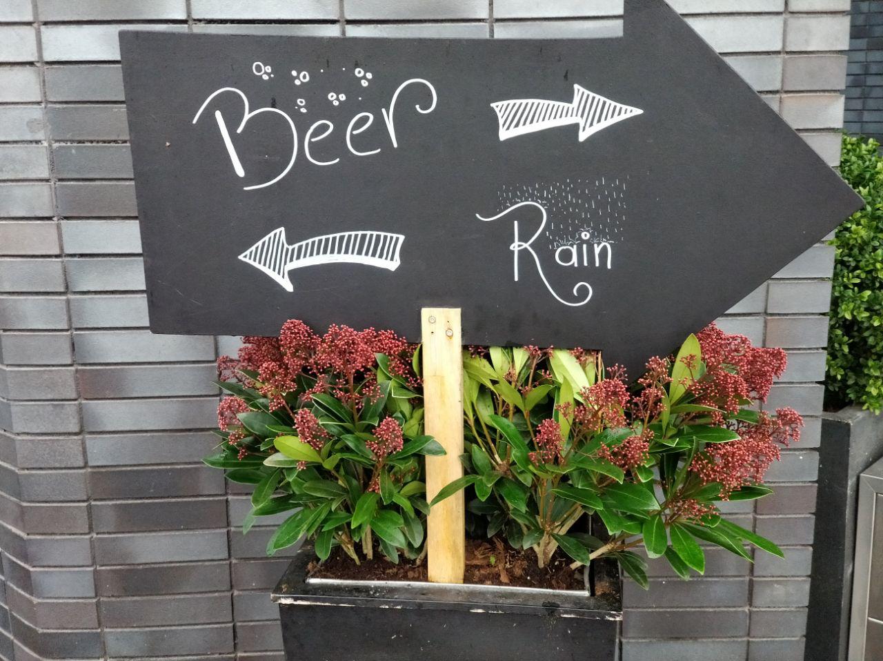Beer or Rain?