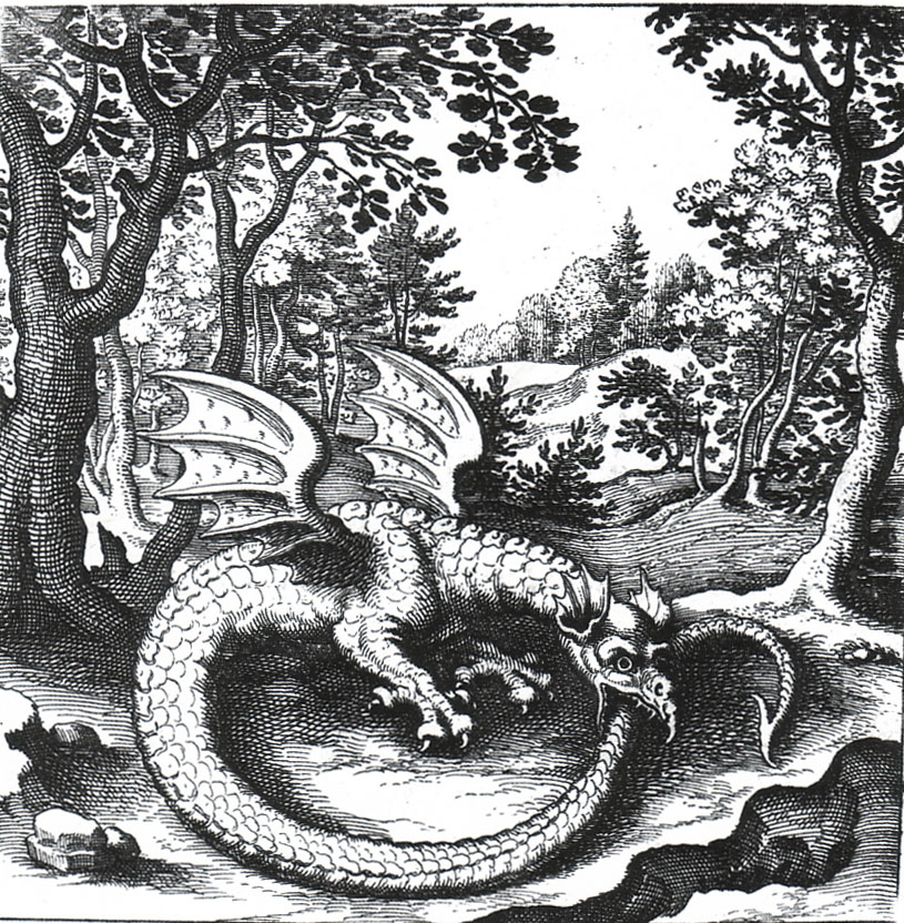 An etching of a wyvern (a dragon-like creature) eating its own tail, by
Lucas Jennis (1590–1630)