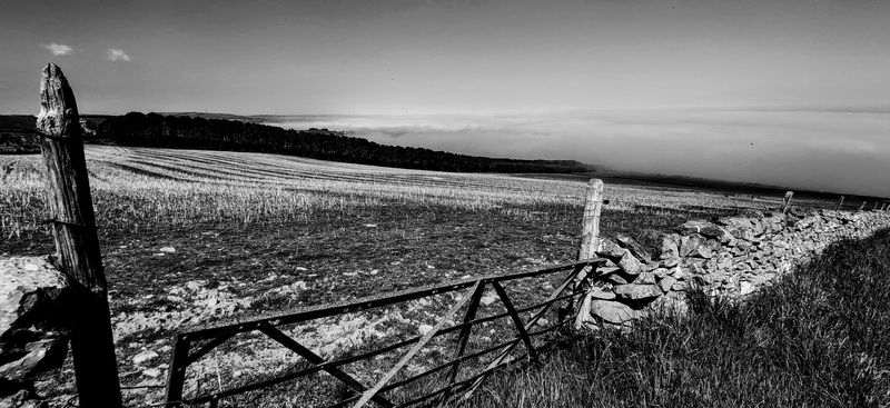 black and white photo of sea fret coming inland over fields and trees