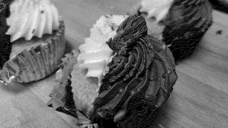 Two cupcakes cut in half and the opposites sandwiched together.