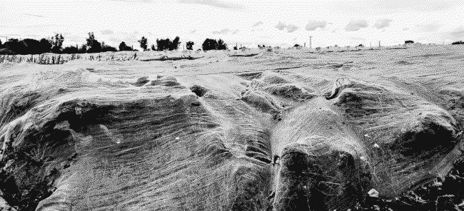 A field covered in plastic netting.