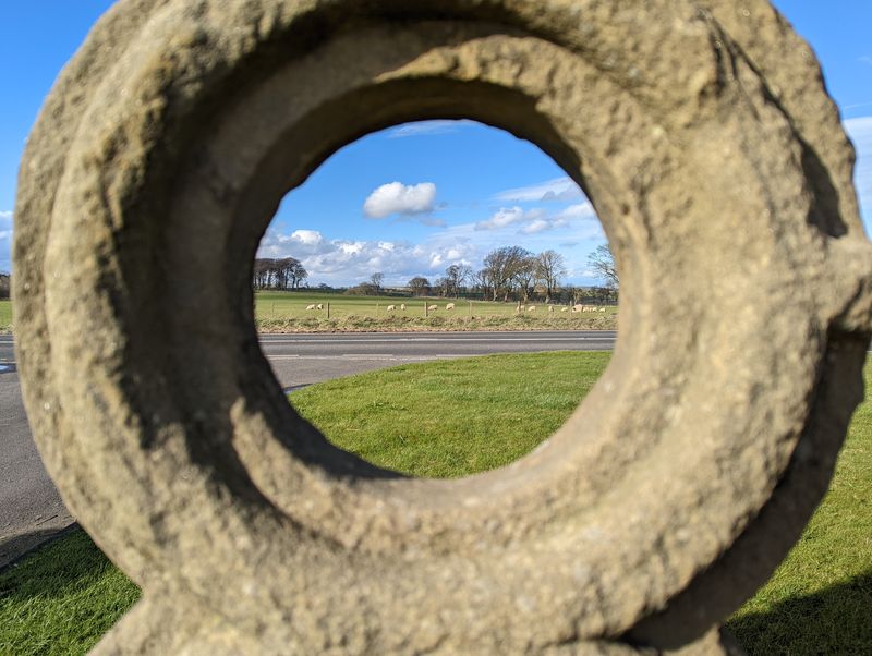 Photo of a field with sheep and trees, through a stone circle