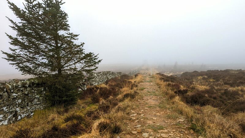 Misty landscape. Path, tree and wall in foreground