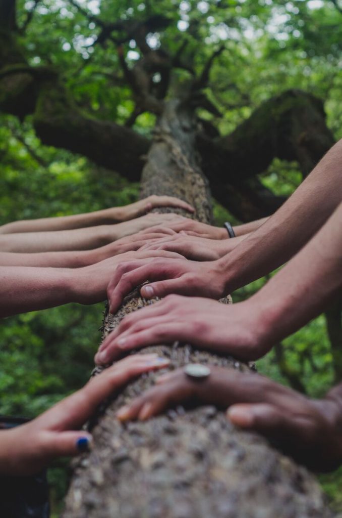 Hands on a tree trunk