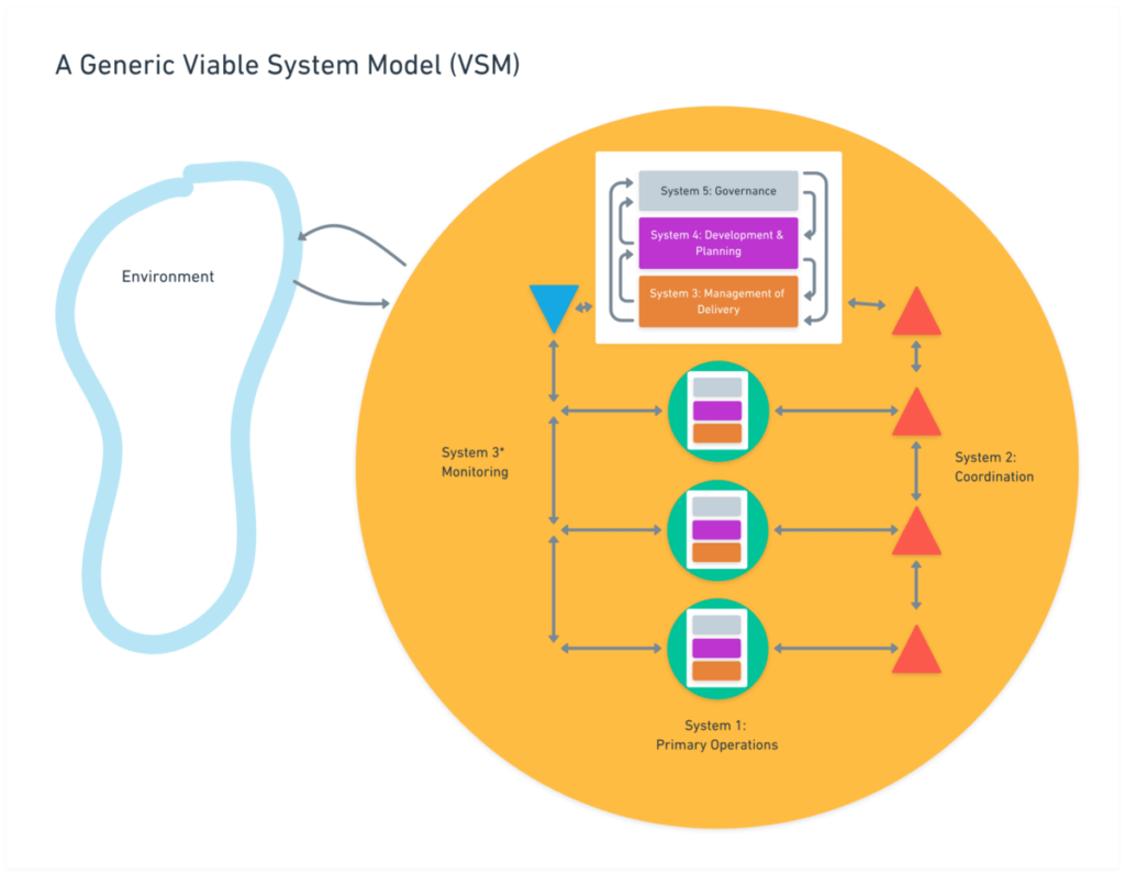 A Generic VSM diagram including Systems 1-5 in relation to its environment