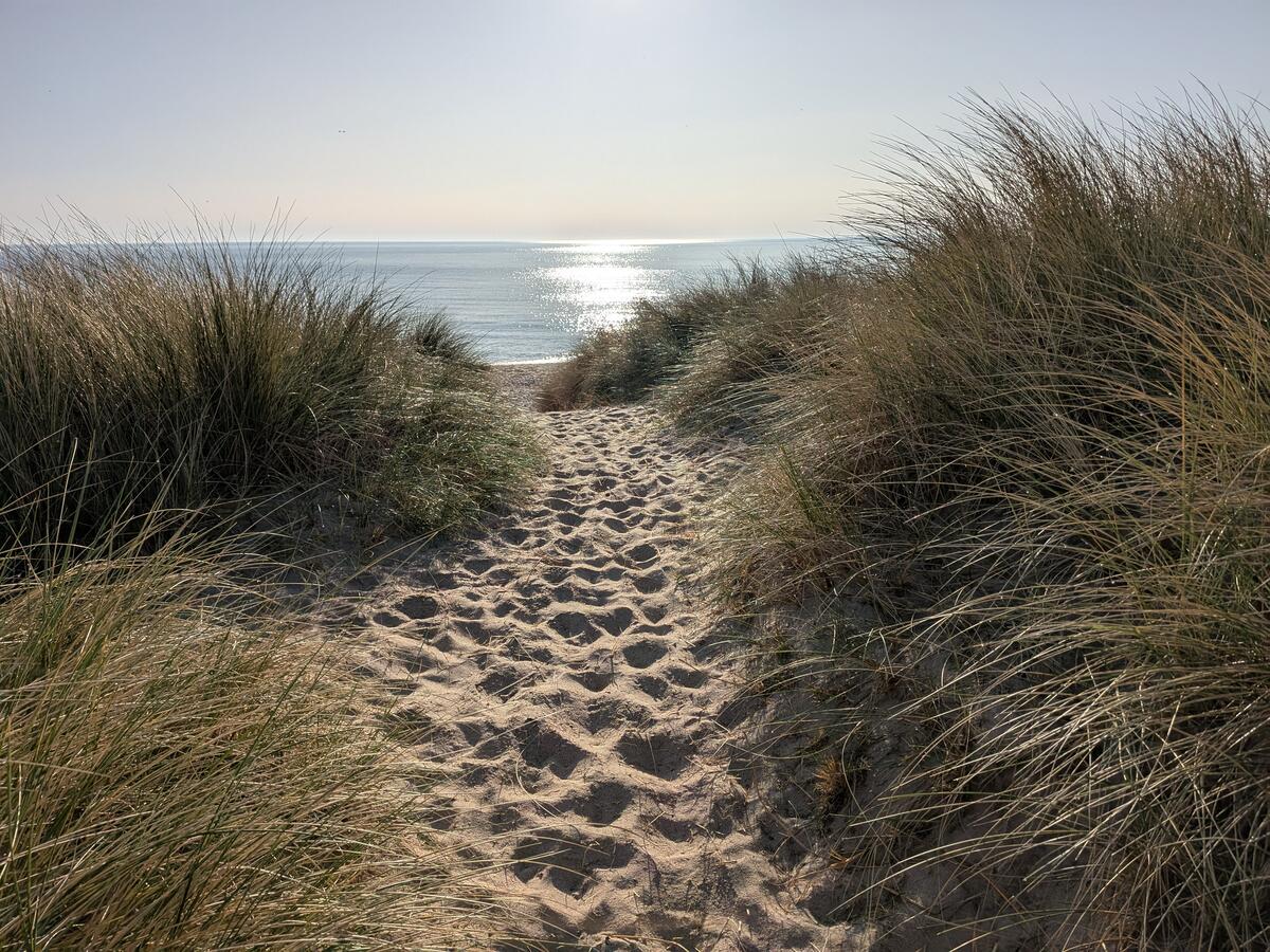 Sand, sea, and grass at Druridge Bay