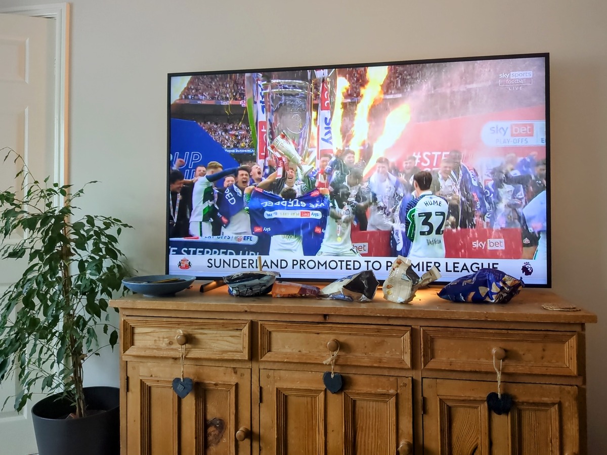Photo of a TV on top of a sideboard with a plant next to it. On the TV, football players are celebrating with the caption SUNDERLAND PROMOTED TO PREMIER LEAGUE