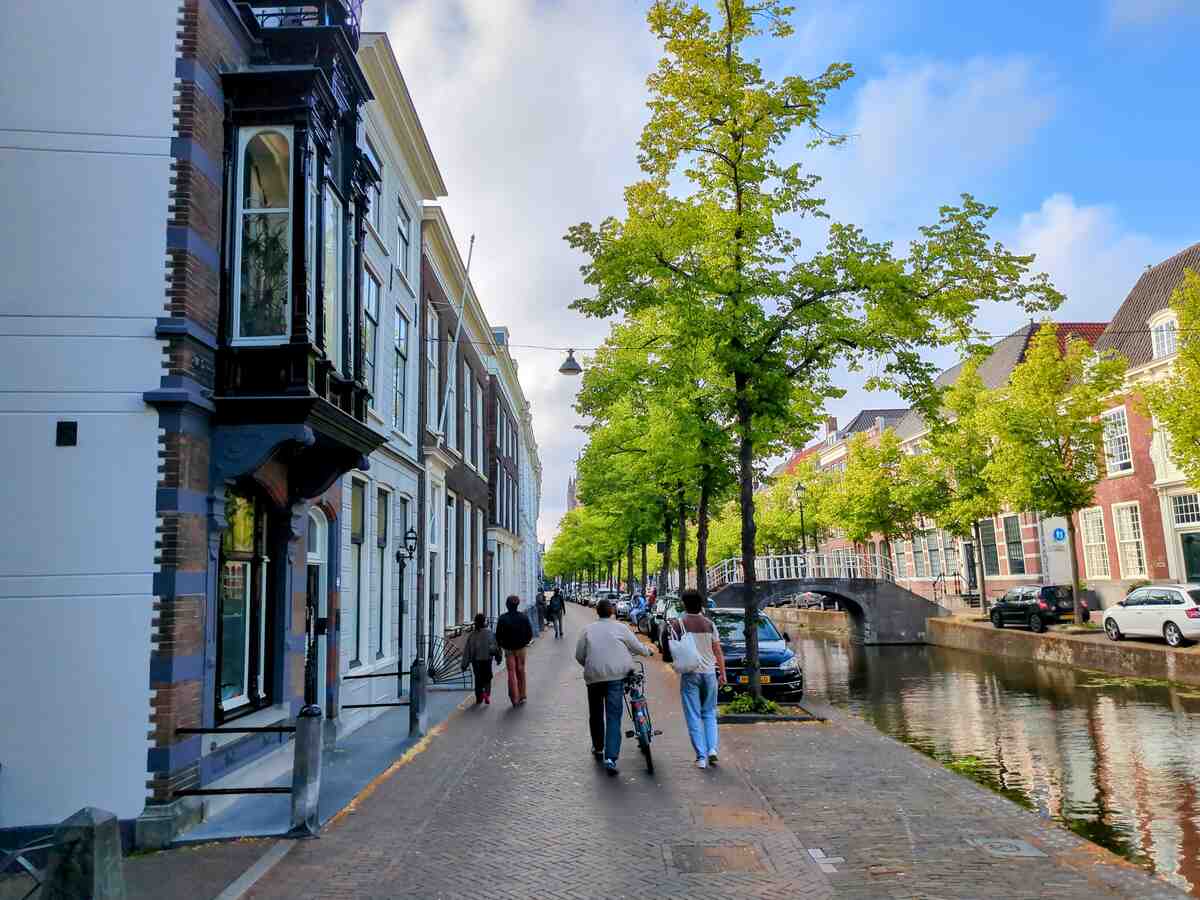 A street in Delft with buildings, trees, and a canal
