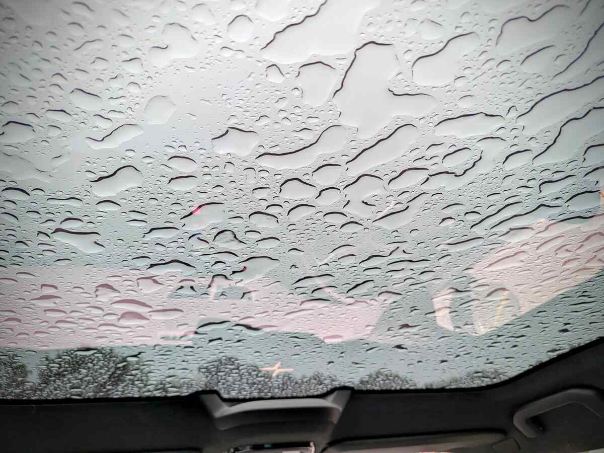 Water pooled in patterns on the glass roof of a car